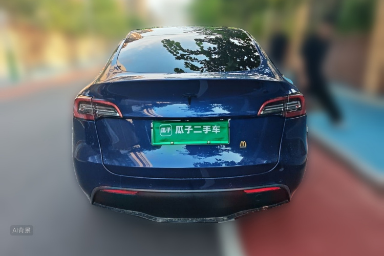 Tesla Model Y 2021 car image #6