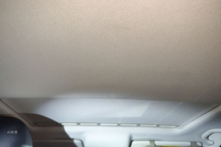 Volkswagen Santana 2016 car image #20