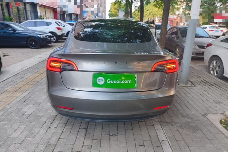 Tesla Model 3 2021 car image #6