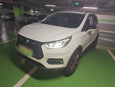 BYD Yuan New Energy 2010 car image 