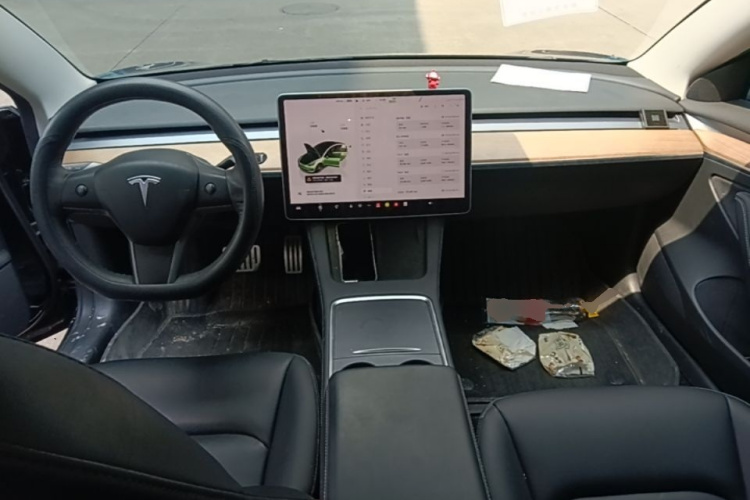 Tesla Model 3 2022 #10 Tesla Model 3 2022 car image #10
