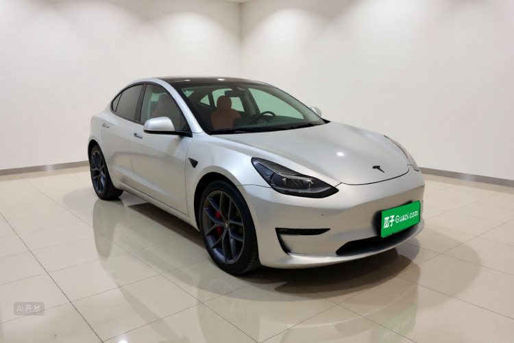 Tesla Model 3 2022 #4 Tesla Model 3 2022 car image #4
