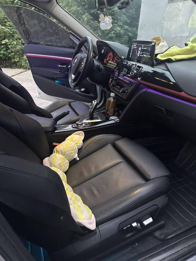 BMW 3 Series GT 2016 #5 BMW 3 Series GT 2016 car image #5