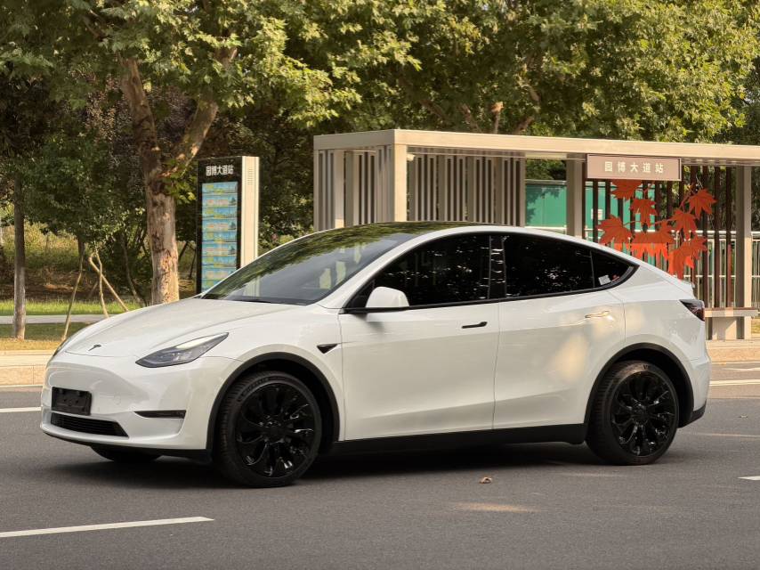 Tesla Model Y 2024 car image 