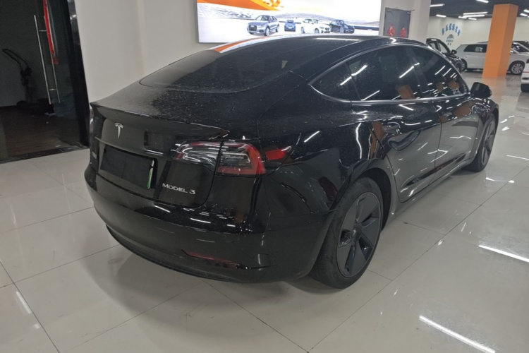 Tesla Model 3 2022 immagine di auto #7