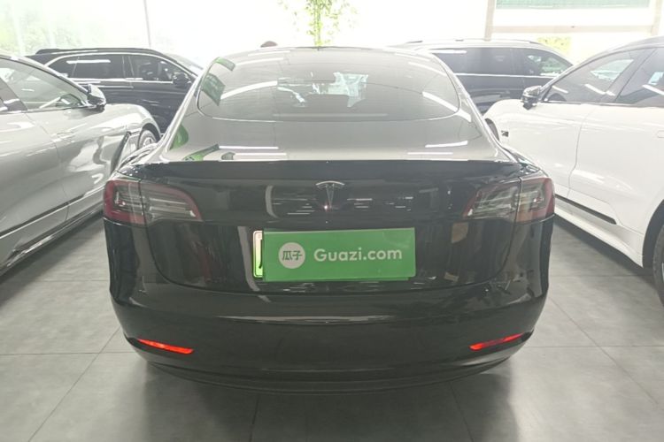 Tesla Model 3 2021 car image #6