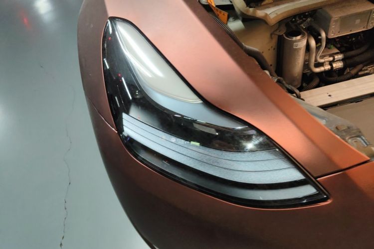 Tesla Model Y 2023 #28 Tesla Model Y 2023 car image #28