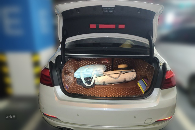 BMW 3 Series 2018 car image #21