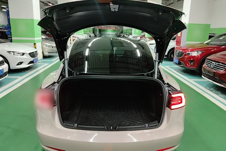 Tesla Model 3 2020 #19 Tesla Model 3 2020 car image #19