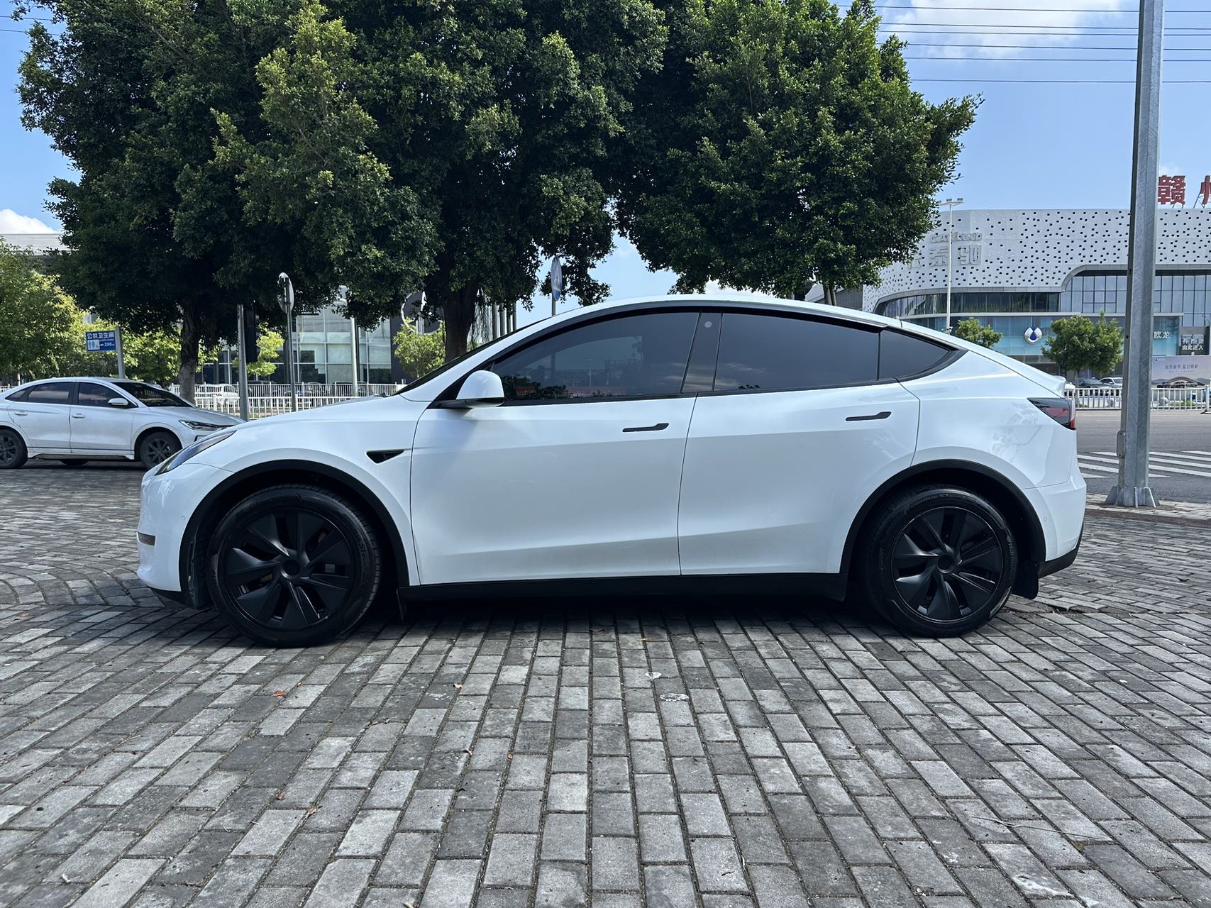 Tesla Model Y 2023 car image #4