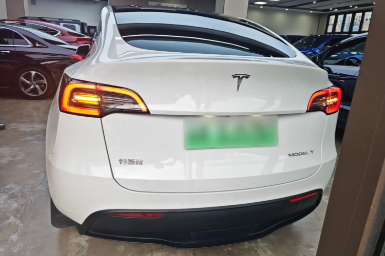 Tesla Model Y 2022 #6 Tesla Model Y 2022 car image #6