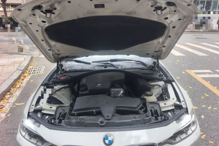 BMW 3 Series 2014 car image #22