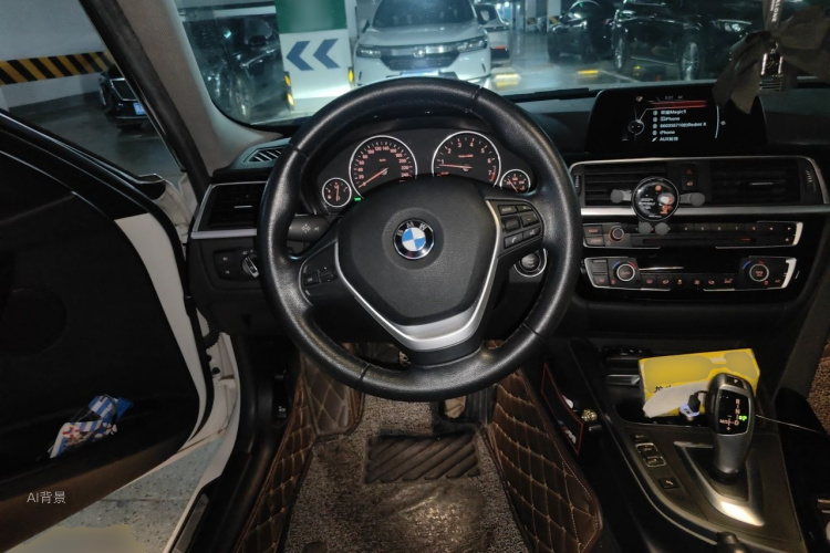 BMW 3 Series 2016 car image #12