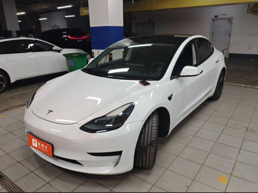 Tesla Model 3 2021 car image 