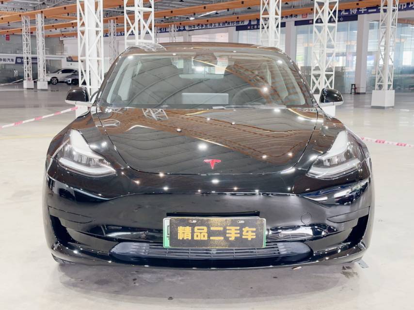 Tesla Model 3 2020 #2 Tesla Model 3 2020 car image #2