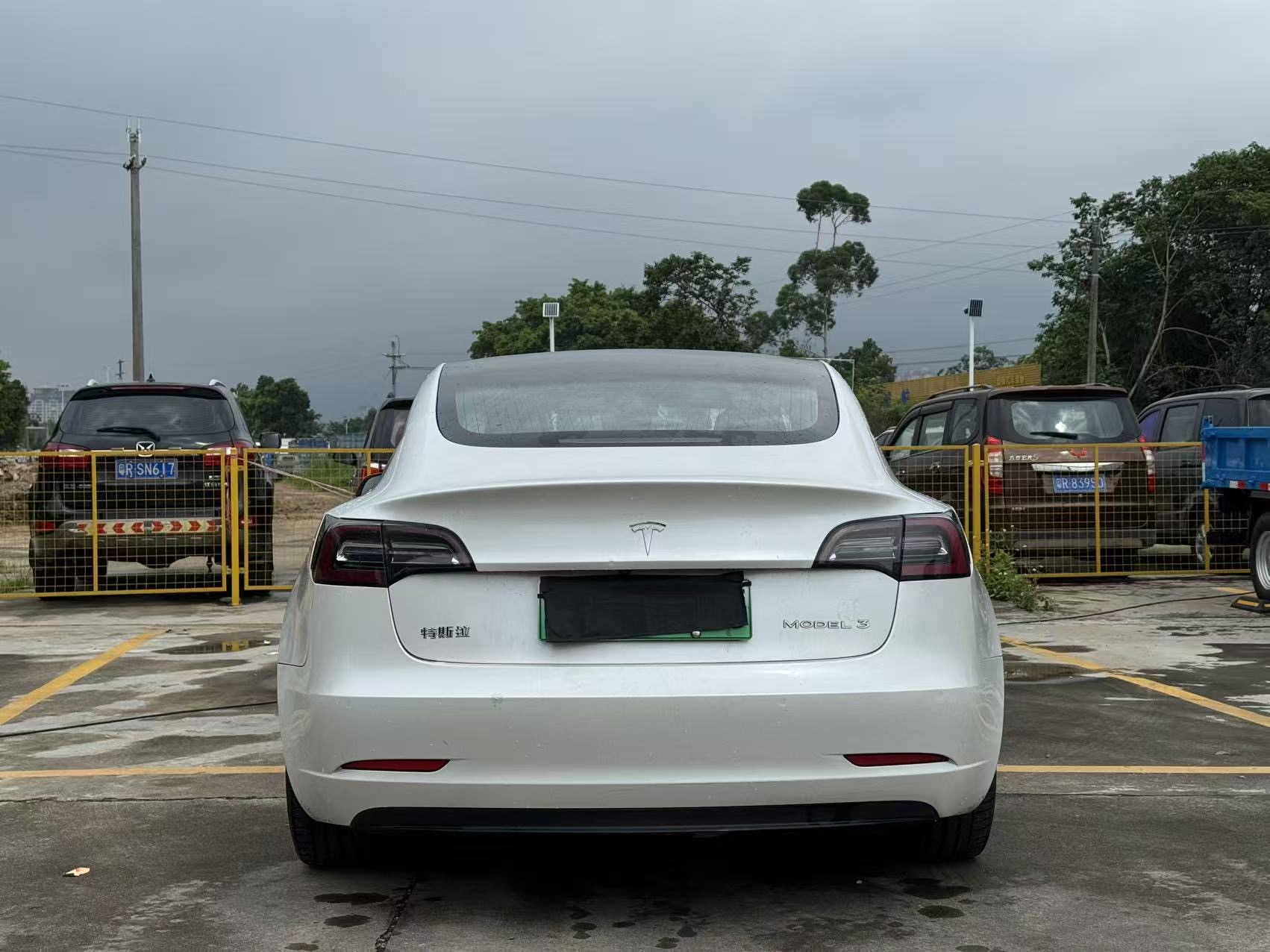 Tesla Model 3 2020 #5 Tesla Model 3 2020 car image #5