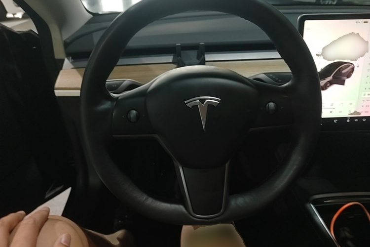 Tesla Model 3 2021 #15 Tesla Model 3 2021 immagine di auto #15