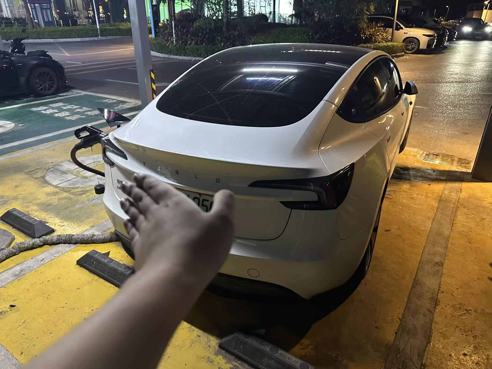 Tesla Model 3 2025 imagem de carro #5