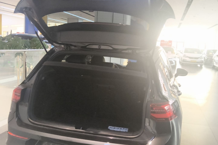 Volkswagen Golf 2021 car image #19