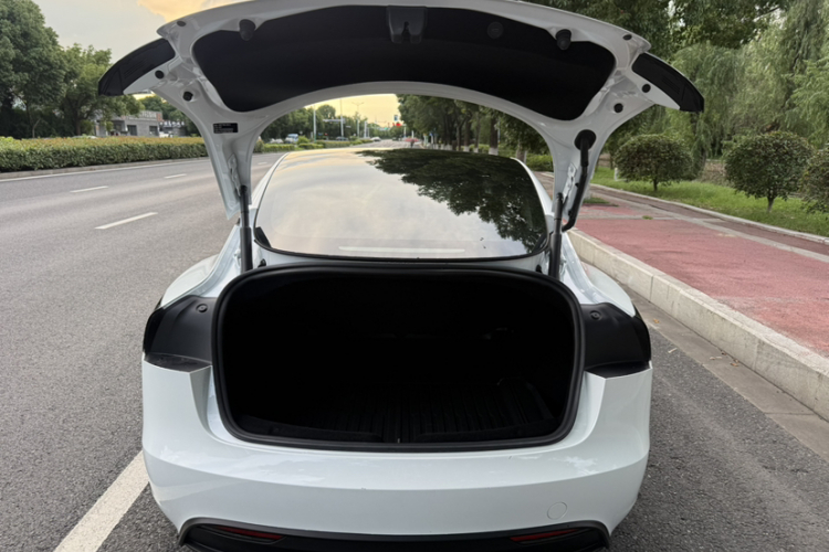 Tesla Model 3 2024 car image #13