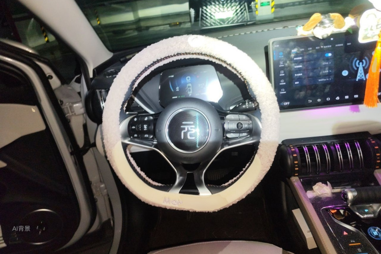 BYD Yuan Plus 2024 car image #12