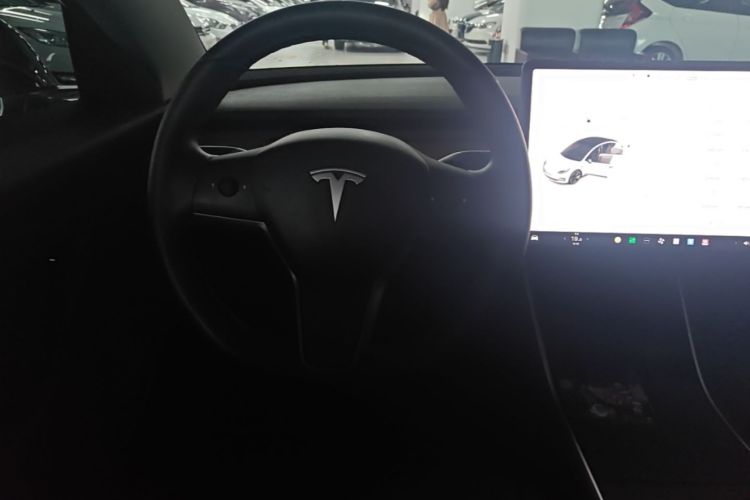 Tesla Model 3 2020 car image #11