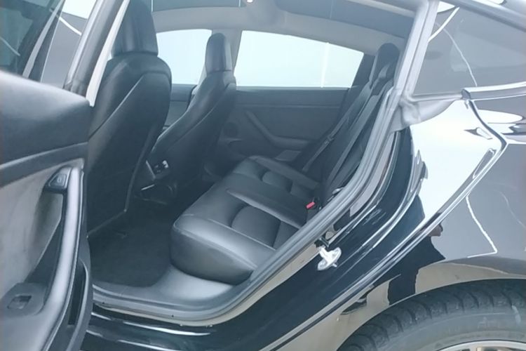 Tesla Model 3 2022 #17 Tesla Model 3 2022 car image #17