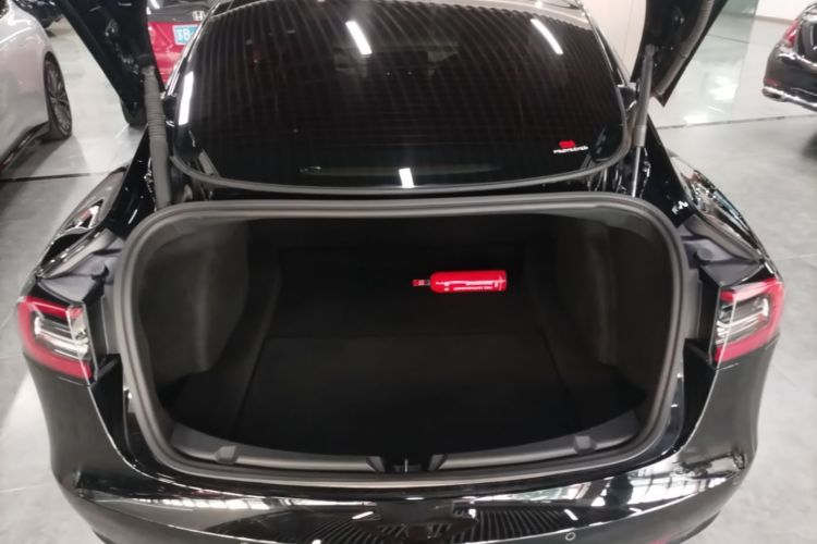 Tesla Model 3 2022 imagem de carro #19