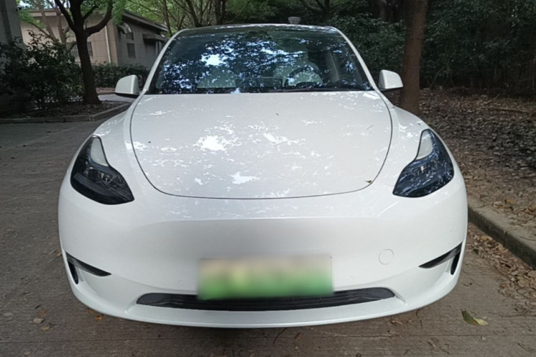 Tesla Model Y 2023 #3 Tesla Model Y 2023 car image #3