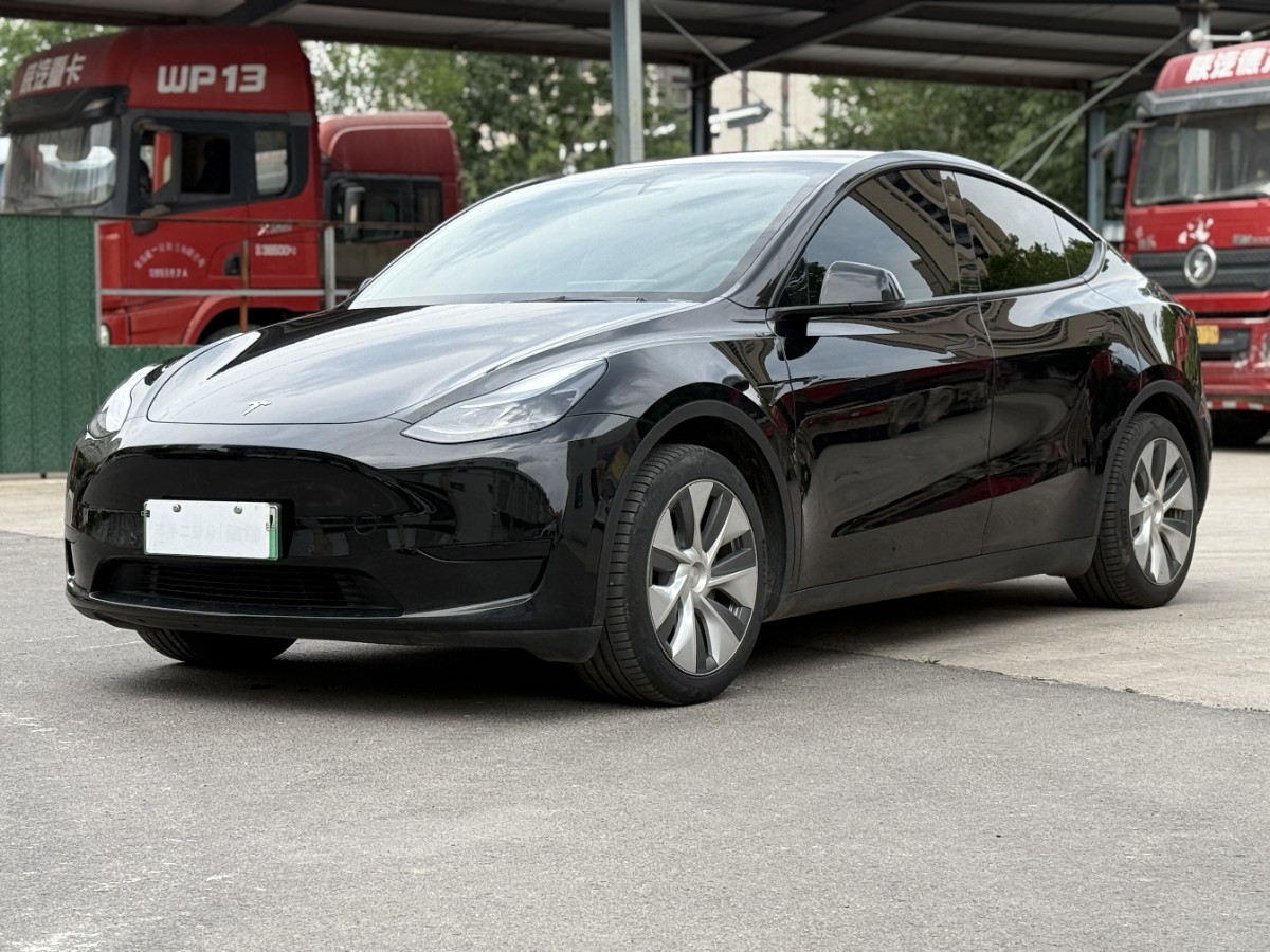 Tesla Model Y 2022 Tesla Model Y 2022 car image