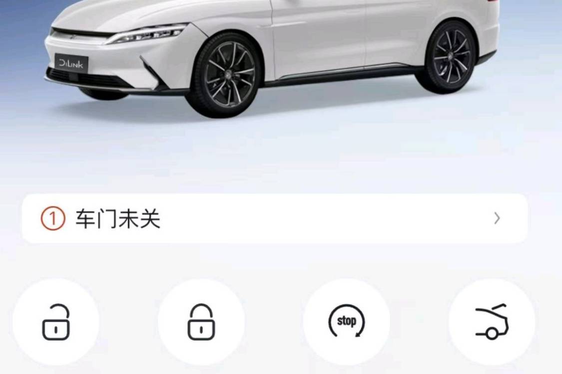 BYD Han 2021 car image #28