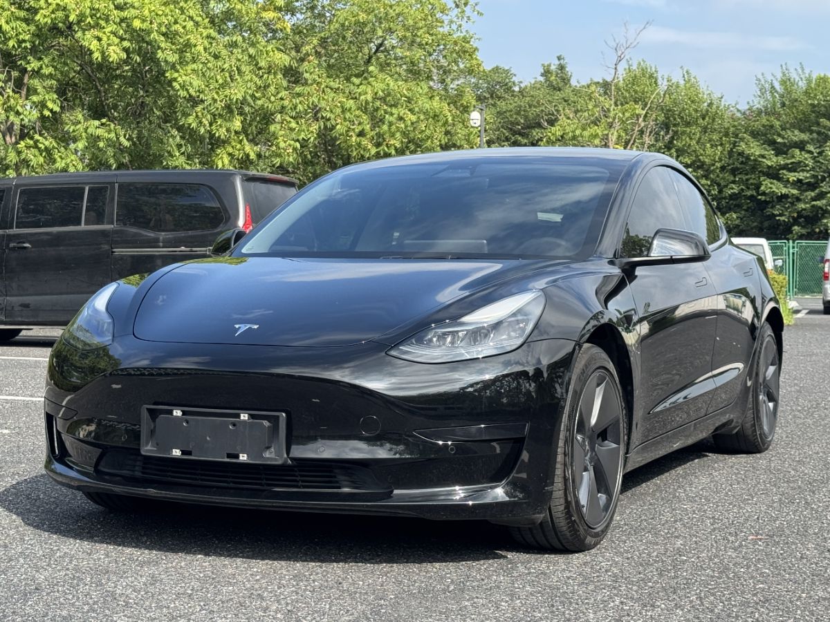 Tesla Model 3 2021 Tesla Model 3 2021 car image