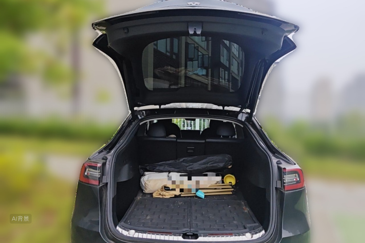 Tesla Model Y 2021 car image #21