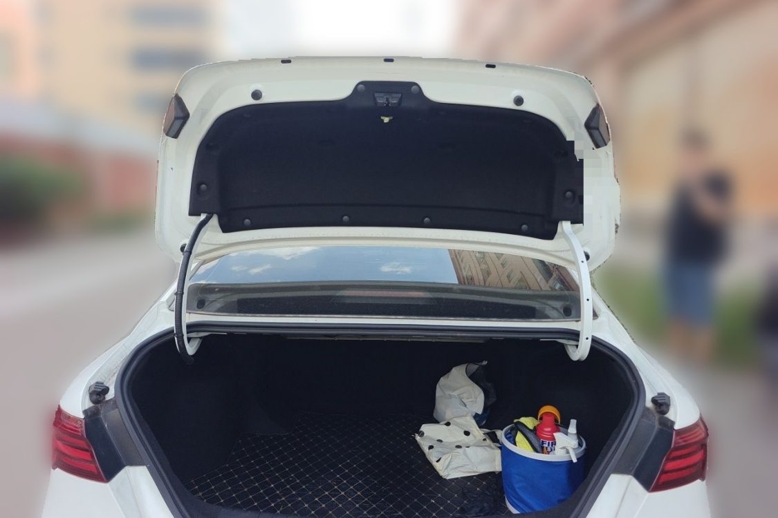 GEELY Binray 2021 #8 GEELY Binray 2021 صورة سيارة #8
