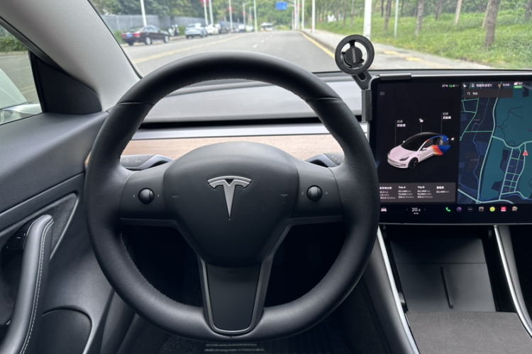 Tesla Model 3 2020 car image #21