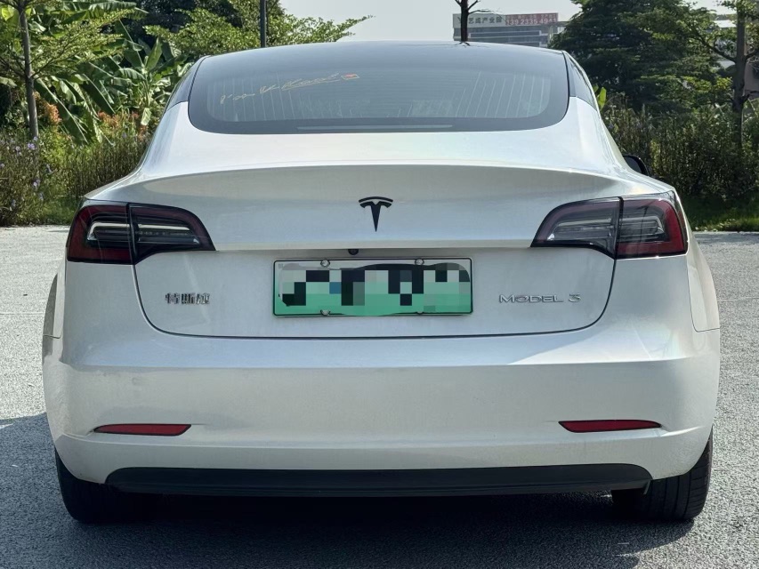 Tesla Model 3 2021 #8 Tesla Model 3 2021 car image #8