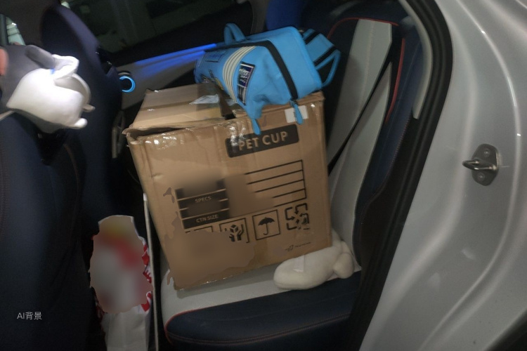 BYD Yuan Plus 2023 car image #19