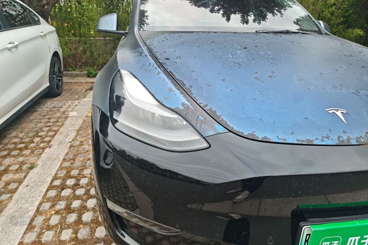 Tesla Model Y 2021 #8 Tesla Model Y 2021 car image #8