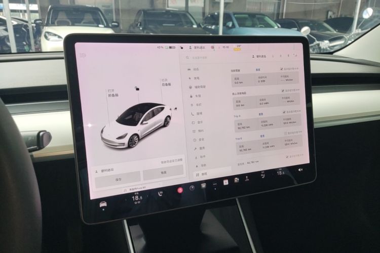 Tesla Model 3 2020 car image #13