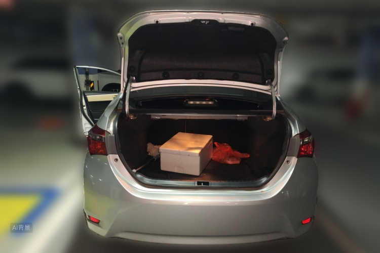 Toyota Corolla 2017 car image #21