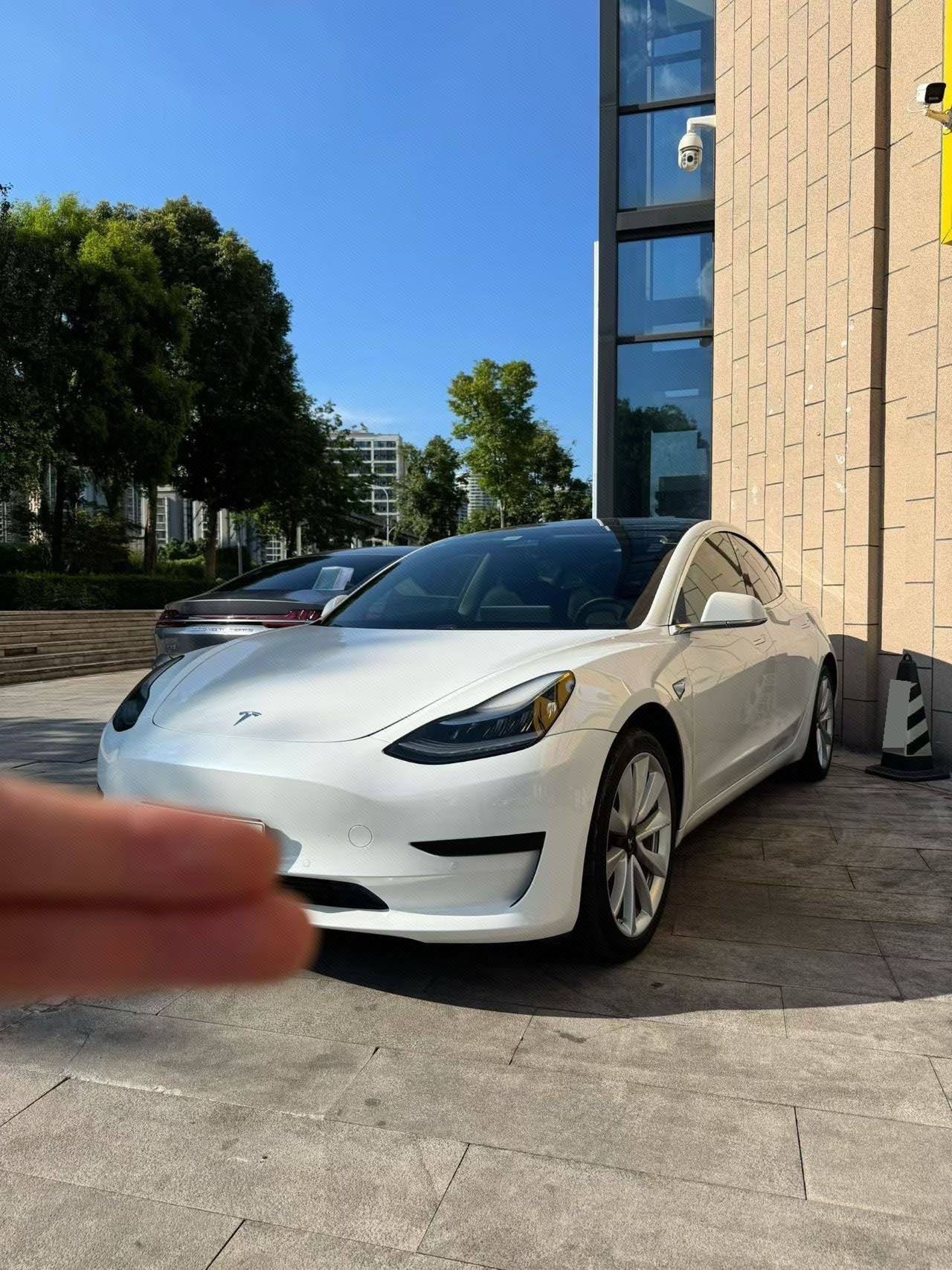 Tesla Model 3 2020 Tesla Model 3 2020 immagine di auto