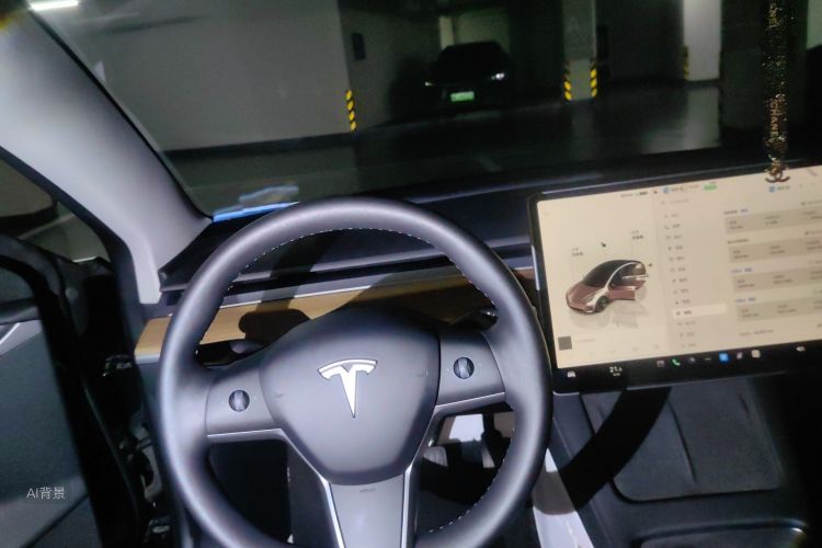 Tesla Model 3 2022 car image #12