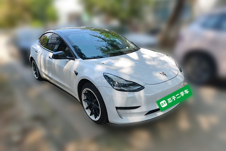 Tesla Model 3 2020 #4 Tesla Model 3 2020 car image #4