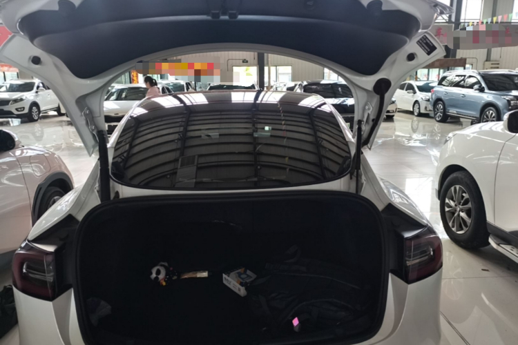 Tesla Model 3 2021 #19 Tesla Model 3 2021 car image #19