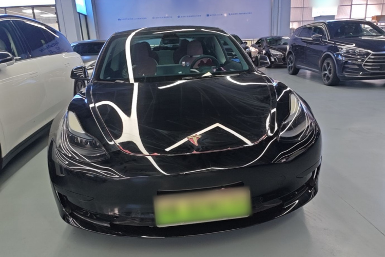 Tesla Model 3 2022 #3 Tesla Model 3 2022 car image #3