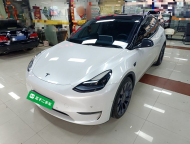 Tesla Model Y 2024 Tesla Model Y 2024 car image