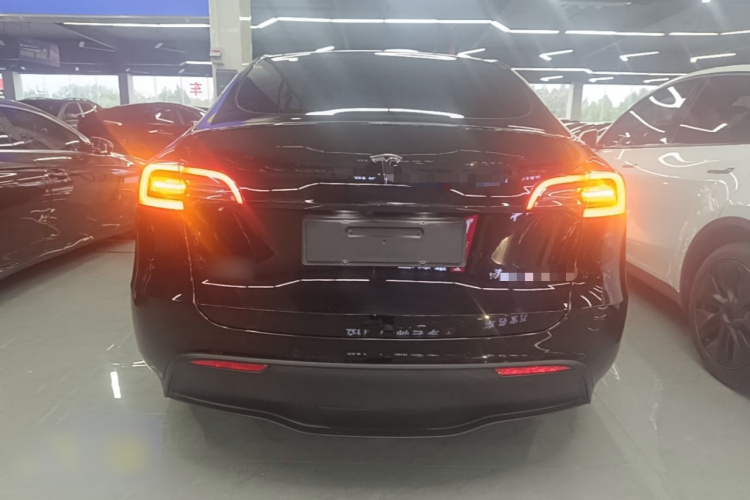 Tesla Model Y 2023 #6 Tesla Model Y 2023 car image #6