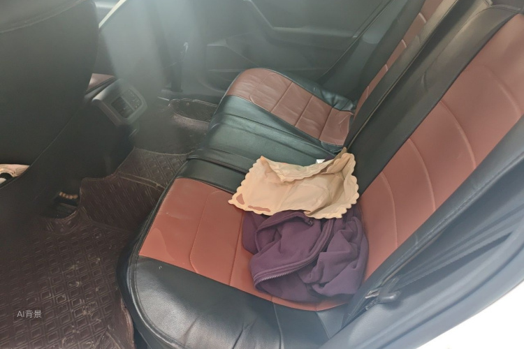 Volkswagen Lavida 2021 car image #19