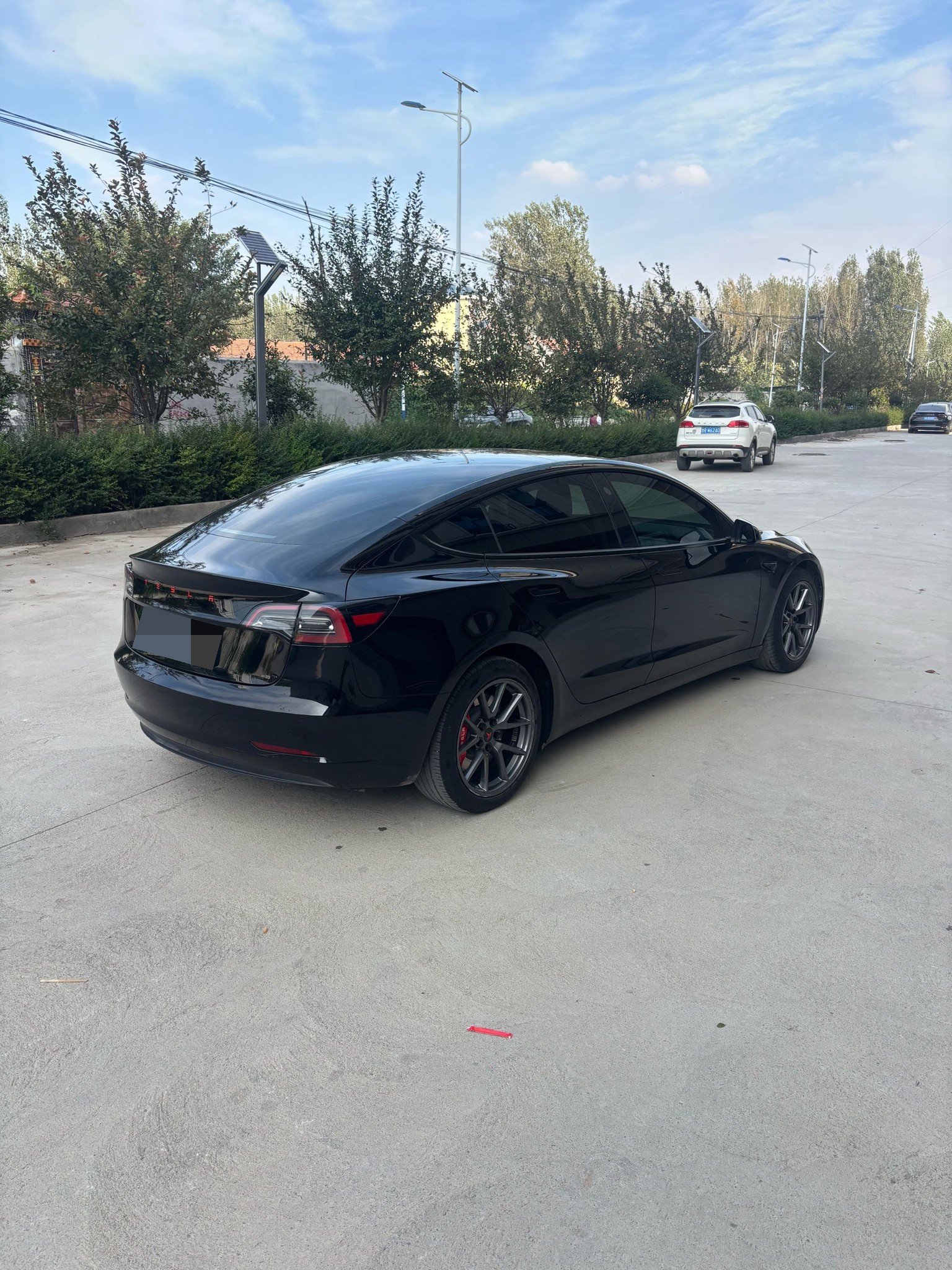 Tesla Model 3 2021 #5 Tesla Model 3 2021 car image #5