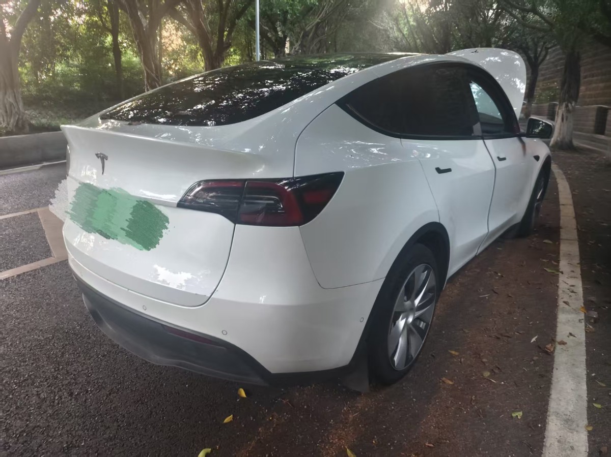 Tesla Model Y 2022 car image #6